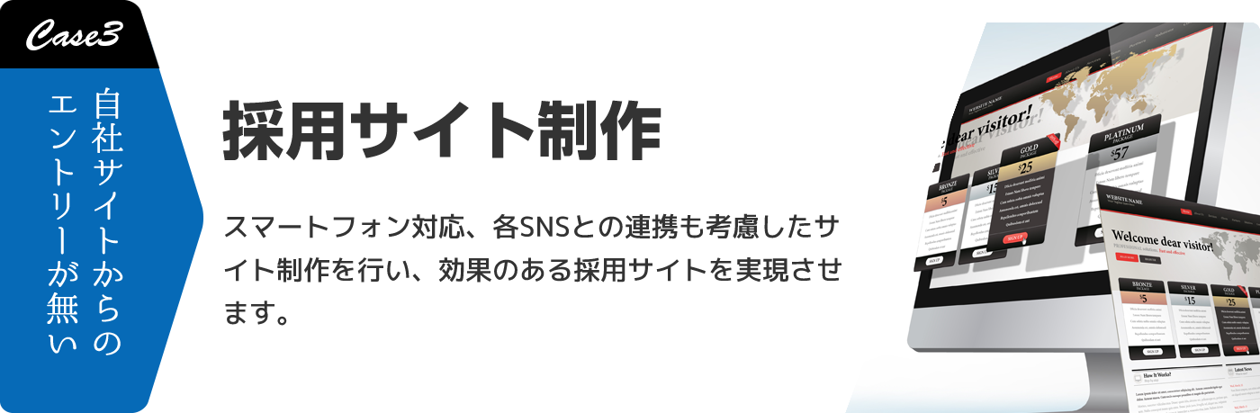 Case3 採用サイト制作