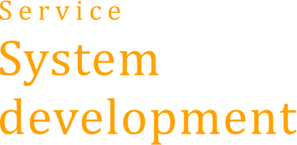 System development